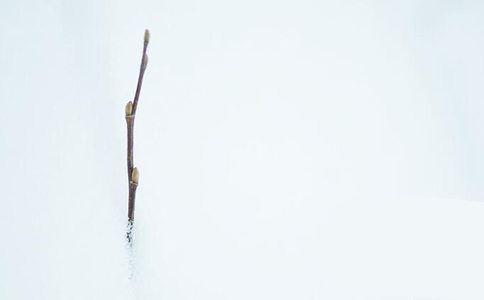 打完胎运气背怎么化解 上香布施意义不大 超度作