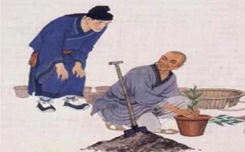 婚嫁要不要门当户对的人，为什么婚姻一定要门当户对