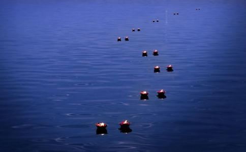 家居风水环境能量学:打造提高家庭幸福指数的科学方法