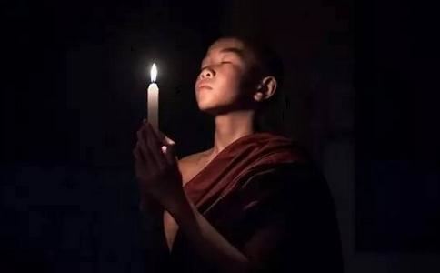 在何种情况下要种生基，说一说种生基的条件