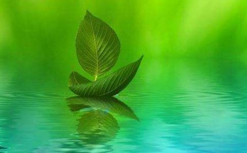 雪景如画,梦里梦外都让人惊叹！换行