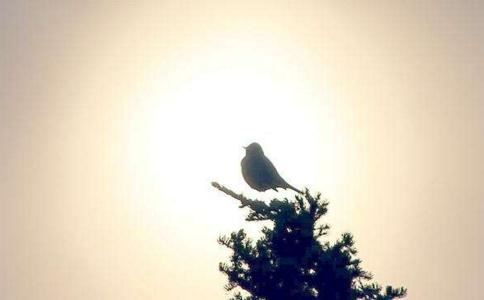 楼房风水学基本常识,这些常识你必须知道