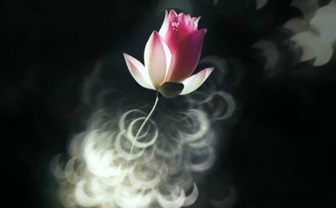 在线烧香是否灵验，上香需要注意这些问题