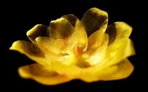 老公花心 我想挽回婚姻怎么办