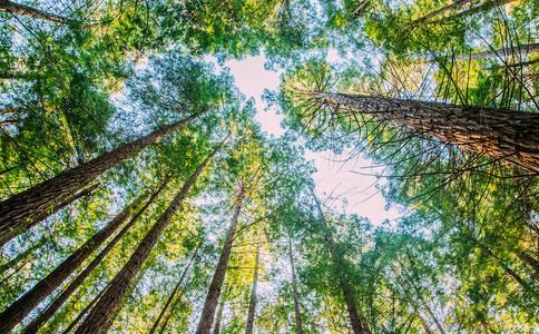 茅山道观景区三宫介绍,九霄万福宫元符万宁宫