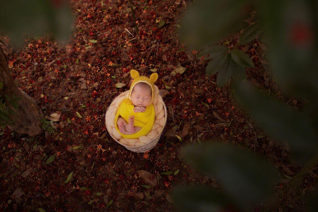 汪峰和章子怡结婚后生了几个宝宝？