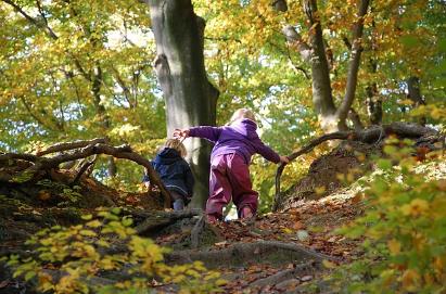 抽血检测性别多久能出结果？还有哪些办法？