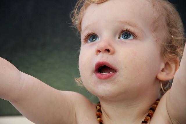 4细胞胚胎可以用于移植！但这两大后果需先了解