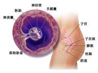 男性最佳备孕运动？什么运动对备孕好？