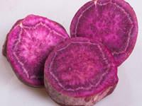 解读取卵后三天移植的条件，激素不达标可不行