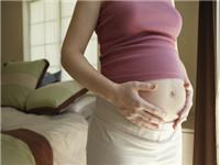 备孕能吃海带吗？要怎么吃？