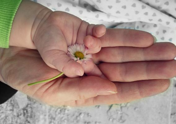 女人经常吃蜂蜜的好处，除了美容养颜多到你想不到