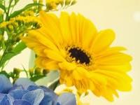 怀男孩第一个月的症状是什么？其他预测胎儿性别的方法是什么？