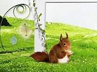 解析单身男士做试管的3点条件，看看你满足了哪几个