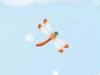 无创显示5号染色体缺失翻盘机会大吗？