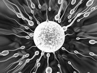 孕妇享受什么假期？孕妇该如何度过假期？