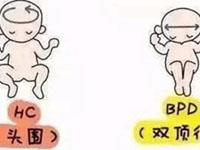 试管婴儿取卵超过16个就要等到下个月才能做移植手术吗？