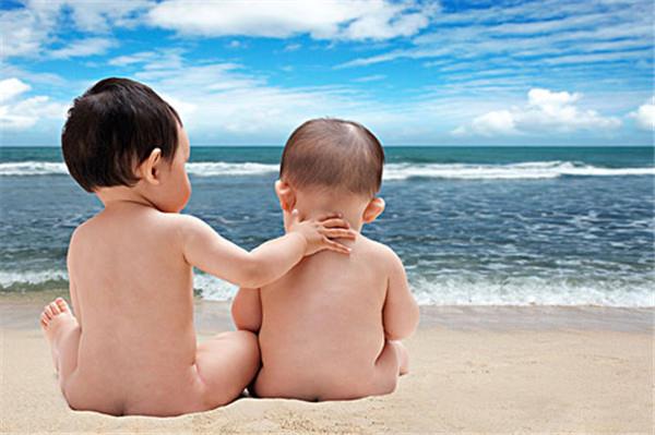 备孕家庭可以养狗吗？备孕家中不能放什么植物？