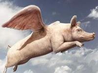 孩子不爱吃蔬菜只需六招全解决，找准原因从此孩子爱吃菜