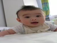 想怀儿子吃象牙蚌好吗？可以吃什么水果？