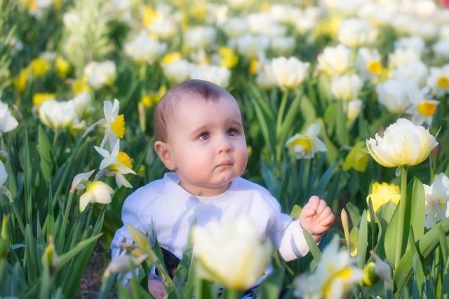 2025潍坊试管婴儿优惠政策最新消息