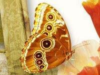 七种父亲让孩子毁一生，赶紧改正小心以后追悔莫及