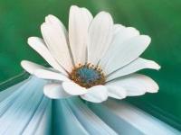 杭州孕期被辞退可以申请哪些赔偿？怎样维护自己的权益？