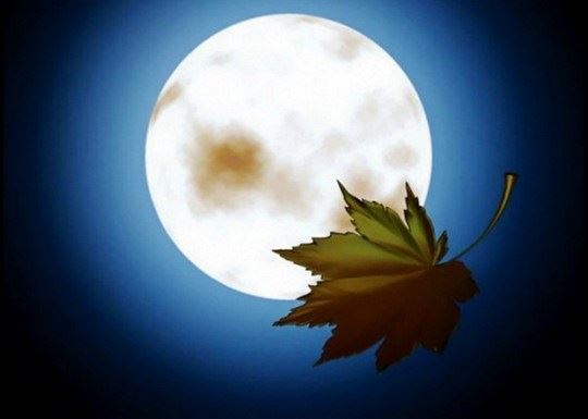 怎样查自己的财库都不知道？那你很难发大财！