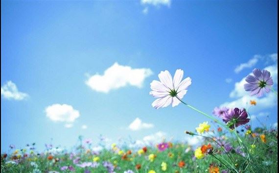 意外死亡渡亡的方法 常见渡亡疑问解答