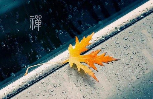 种生基秘法咒语，帮赌王何鸿粲续命开运