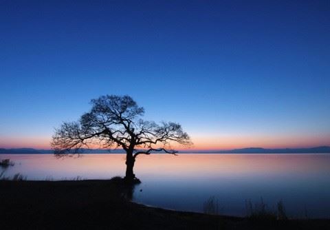 婆婆思想老旧，媳妇要如何处理婆媳关系