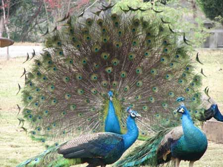 频繁聊天后突然冷淡怎么挽回，或许可以试试这几个方法