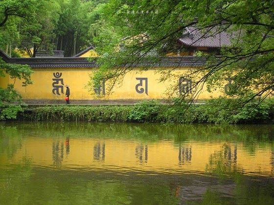 道家太极拳已经深入的的生活 是老年人必不可少的运动