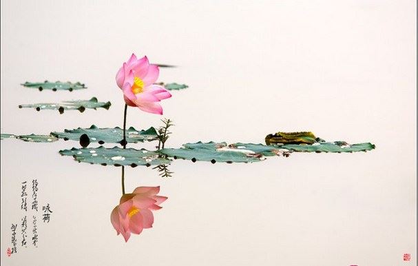 简单的渡亡婴灵方法,化解堕胎带来的负面影响