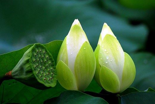 这些都是大人丢魂的特征，教你如何解决