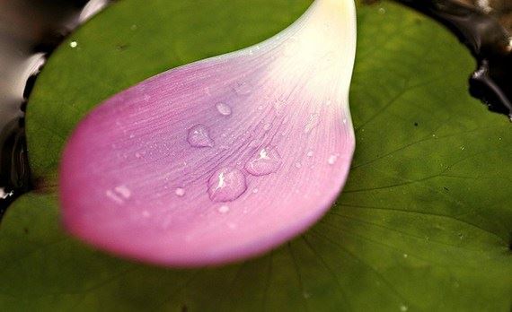 三招告诉你婚姻出轨挽回的办法