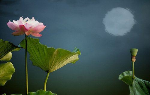 婆媳关系一般是什么矛盾 我们应该如何解决