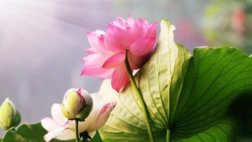 怎样与人处好人际关系 学起来，做个受欢迎的人！