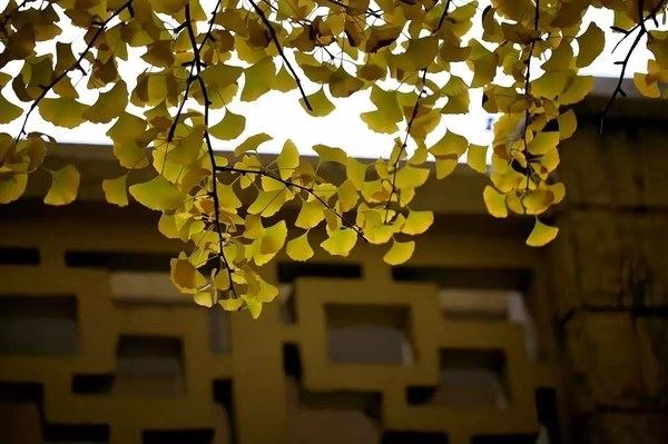 婆媳关系如何处理才更融洽 少一点都不行