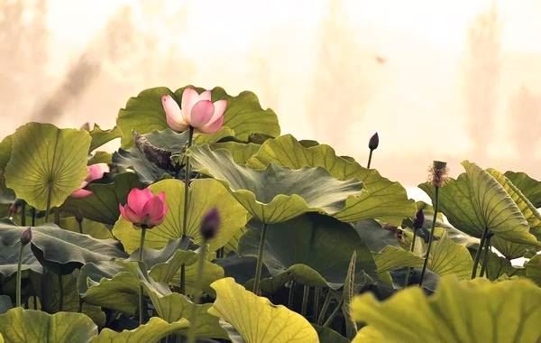 斩断女人烂桃花的方法，常见的主要有这几个，助力轻松斩断烂桃花