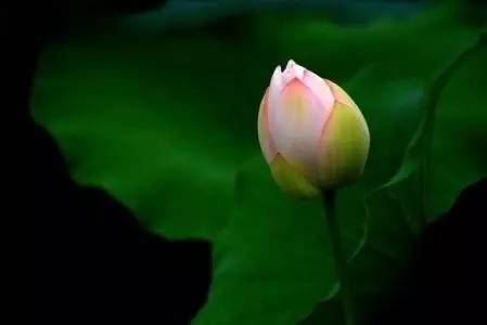 还阴债副作用很大，这都是错误的说法