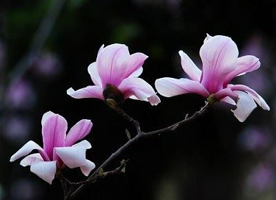 做好这三件事 轻松挽回前男友