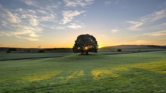 宁波婚姻挽回机构成功经验，挽回婚姻成功办法