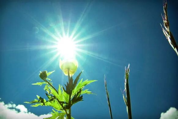 回心转意符什么时候烧，烧后又该如何处理