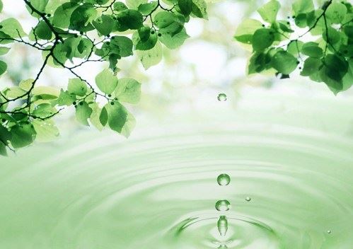 特殊命格的人为什么会招小人 因为它们本就容易犯是非