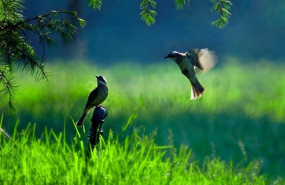 分手后怎么挽回感情?我要怎么挽回男友