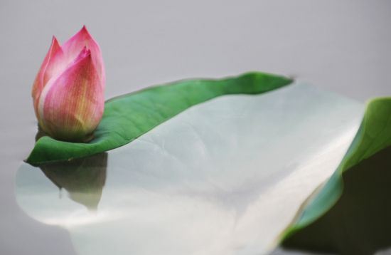 当女人说在婚姻中很累，可能是因为她的丈夫有这几个特点