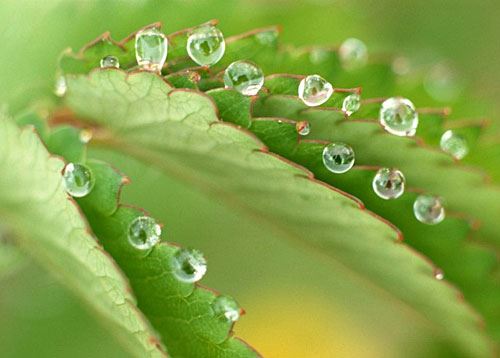 买车看黄历挑选吉日需要注意的几个方面