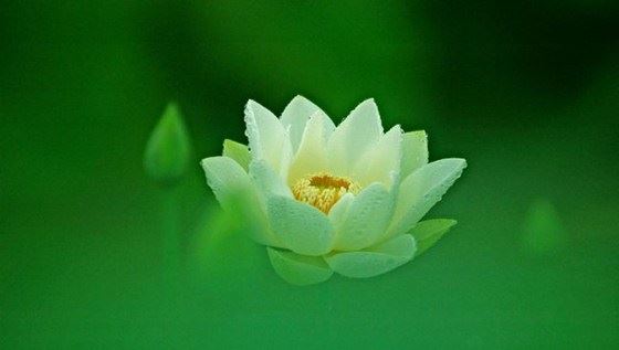 道士给人开财库真相