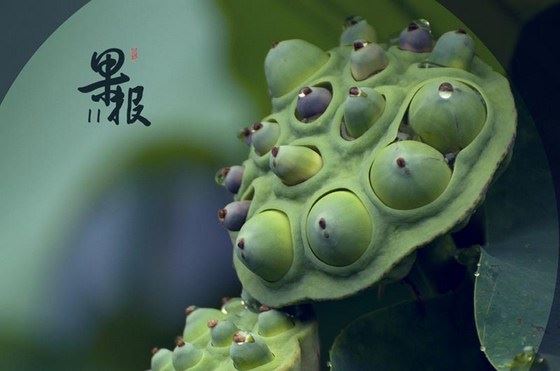 婚姻挽回术的4个细节 别轻易忽视 才能顺利挽回